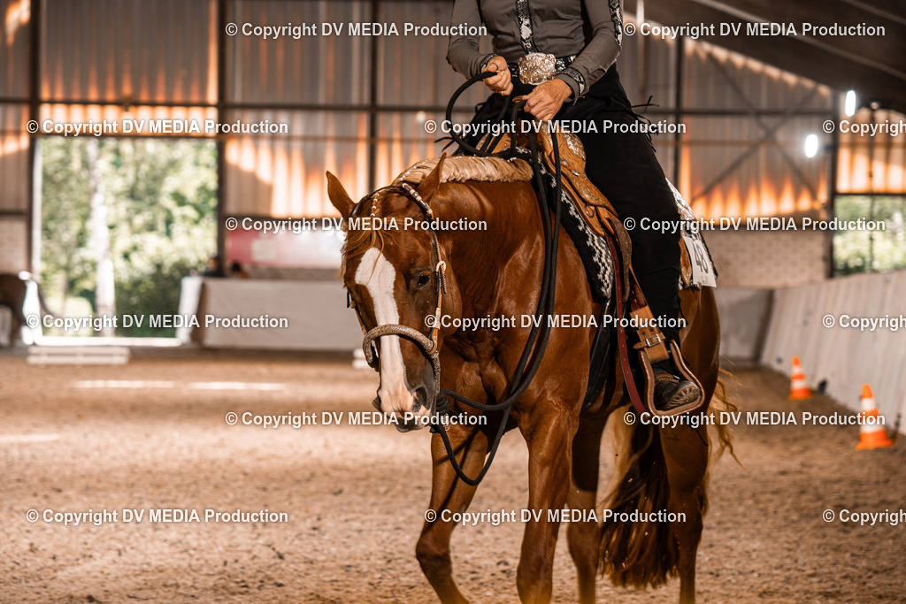 ZH100053 | dv-media-shop - Realisiert mit Pictrs.com