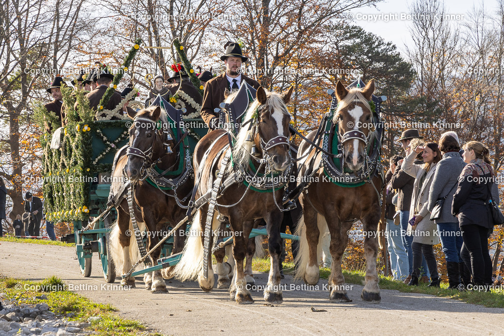 LBT24-1155 | foto-bettina-krinner - Realisiert mit Pictrs.com