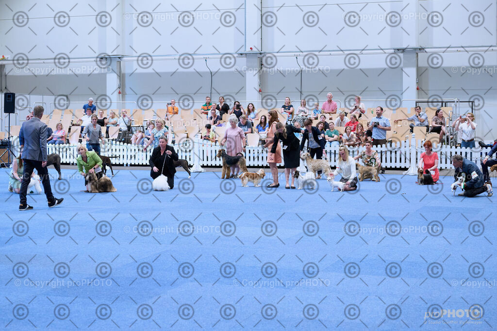 202406_ÖKV-IHA-Tulln24_NZ9_8768 | proPHOTO - Realisiert mit Pictrs.com