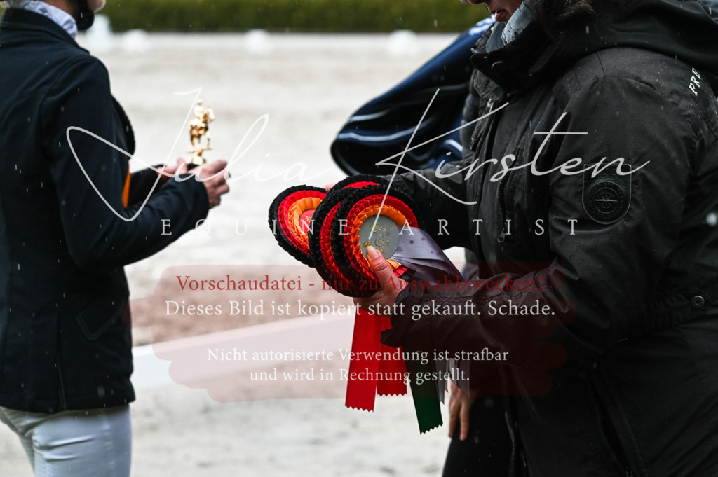 DSC_4764 | Pferde- und Turnierfotografie in Westsachsen. Pferdeportraits, Auftragszeichnungen und intuitive Kunst.