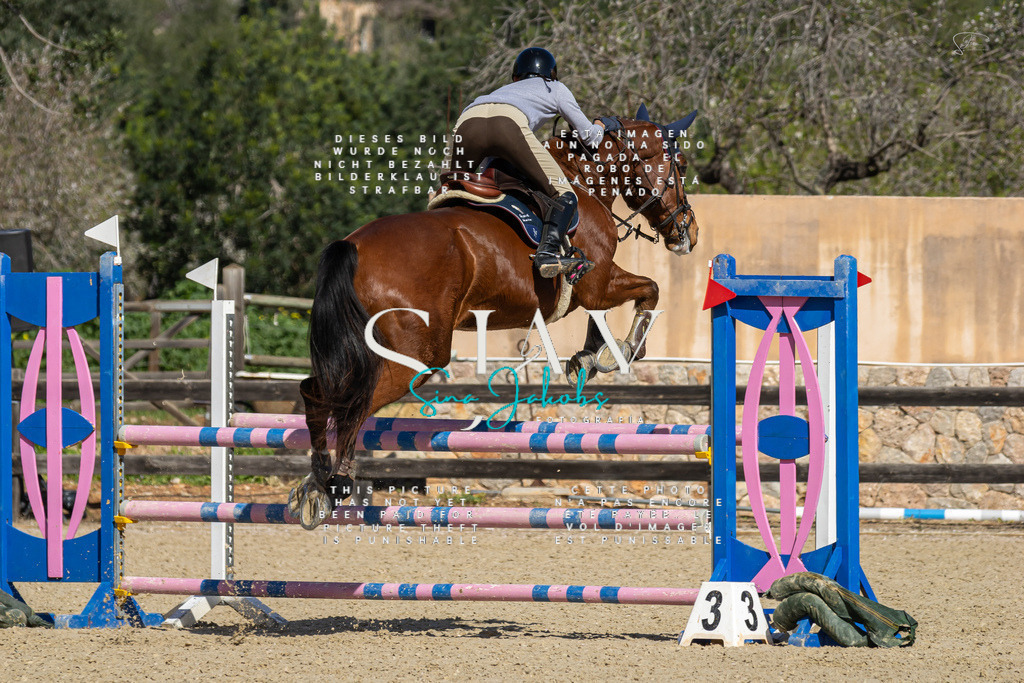 IMG_6554 | s-jay-photography - Realisiert mit Pictrs.com