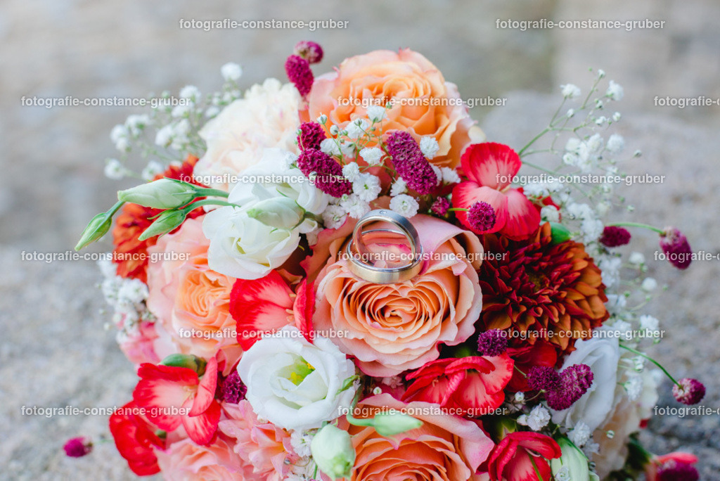 1012 | Fotografie Constance Gruber - Realisiert mit Pictrs.com