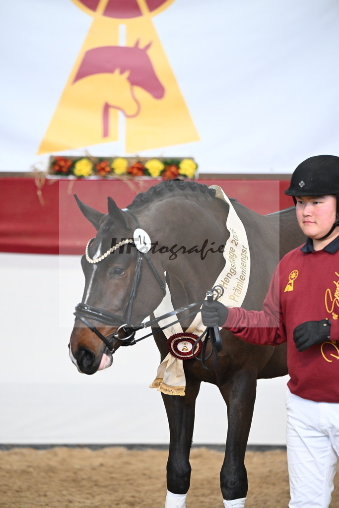 Kat.-Nr. 14 v. Cornet_s Balou (Balou du Reventon Z)_Keitel und Laue_3265233 | hf-fotografie - Realisiert mit Pictrs.com