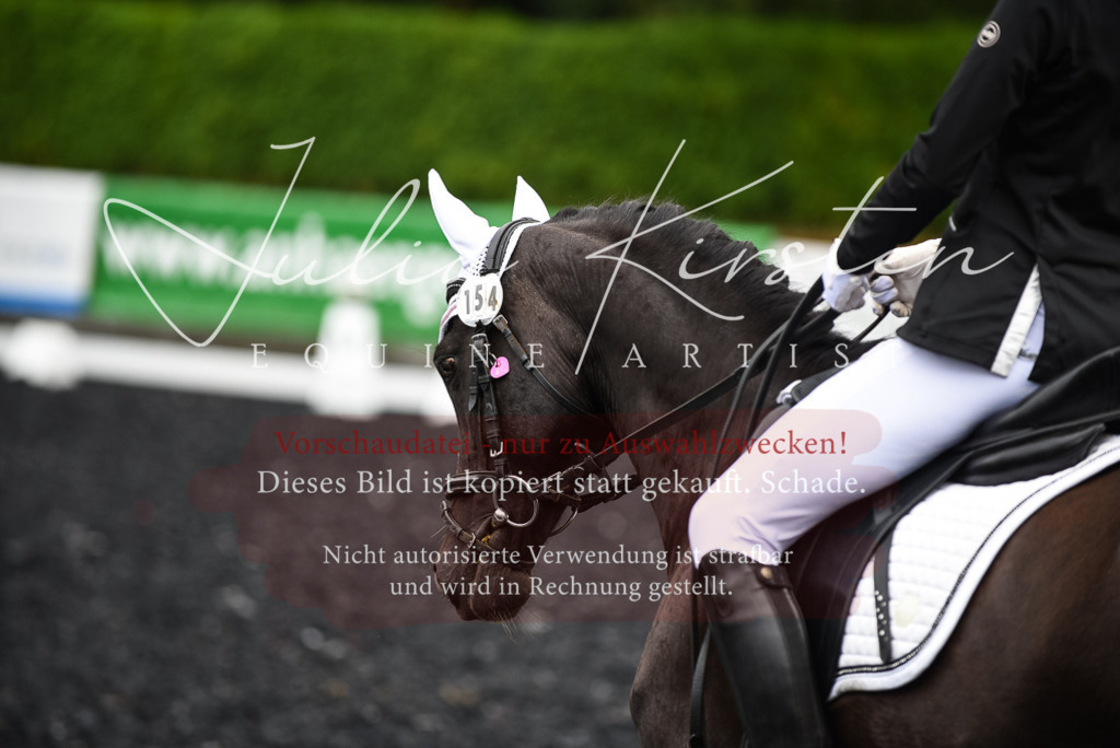 DSC_2727 | Pferde- und Turnierfotografie in Westsachsen. Pferdeportraits, Auftragszeichnungen und intuitive Kunst.