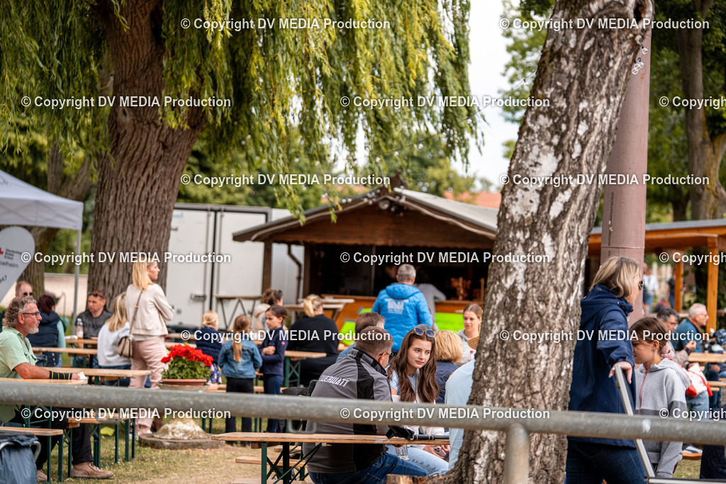 Eppelheim Tag 2-740 | dv-media-shop - Realisiert mit Pictrs.com