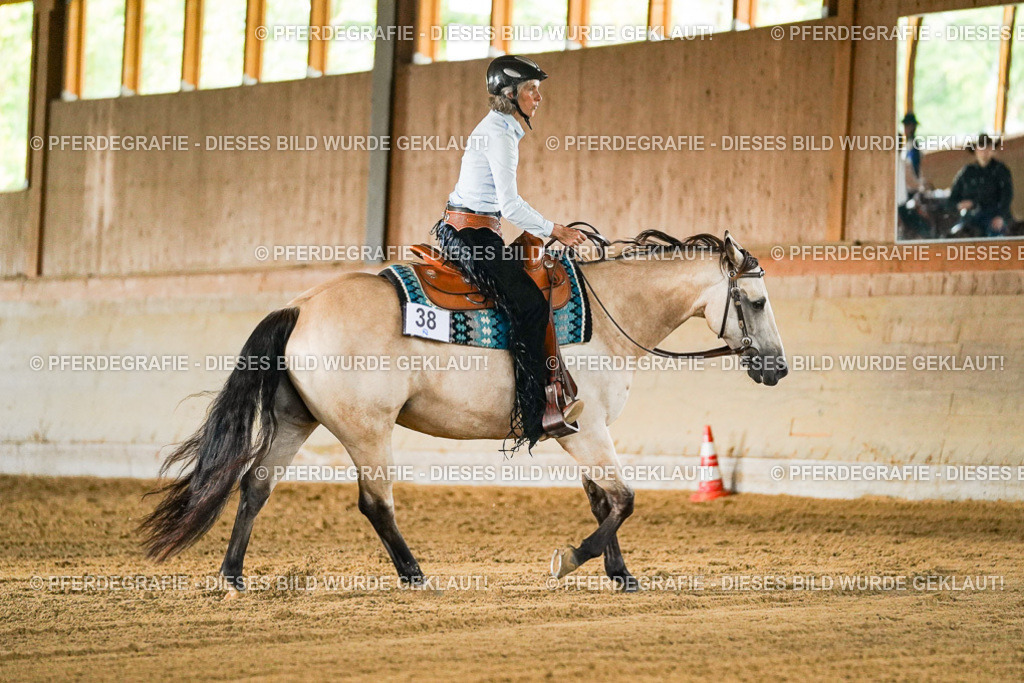 DSC05364 | Pferdegrafie