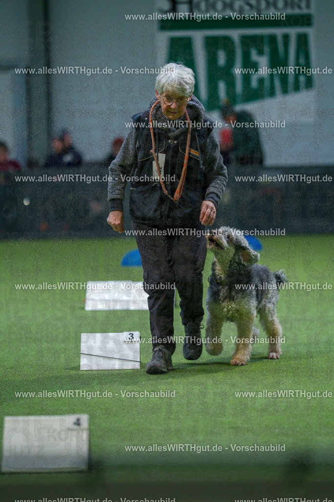 7R501261 | Professionelle Tierfotografie in Mönchengladbach von Daniel Wirth (allesWIRTHgut). Liebevolle & natürliche Bilder von Hunden & Katzen für unvergessliche Erinnerungen.