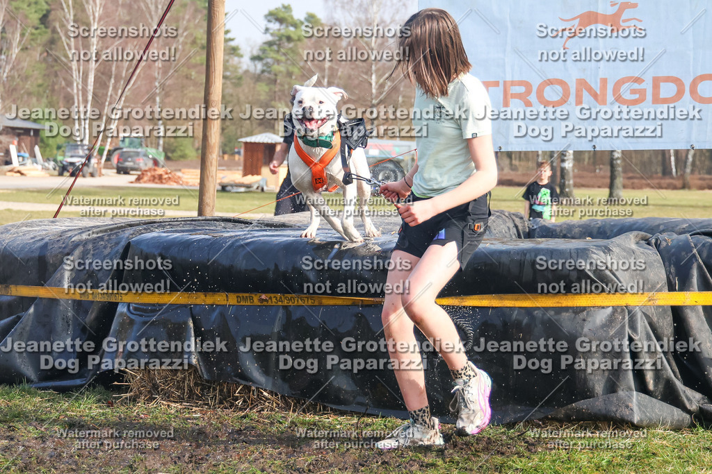 Dog Paparazzi - Strongdog North Mrz26-2184 | Dog Paparazzi Jeanette Grottendiek Fotografie & Videografie - Realisiert mit Pictrs.com