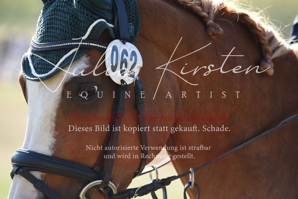 DSC_5992 | Pferde- und Turnierfotografie in Westsachsen. Pferdeportraits, Auftragszeichnungen und intuitive Kunst.