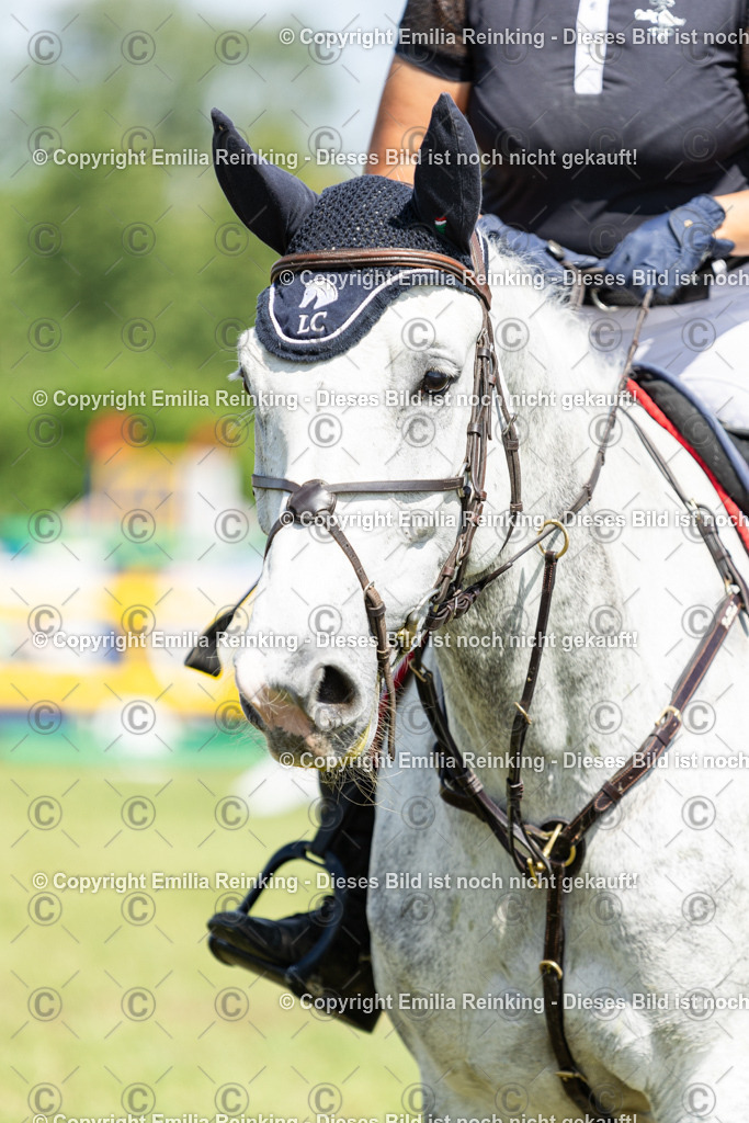 CL5A4618 | Emilia Reinking Fotografie - Realisiert mit Pictrs.com