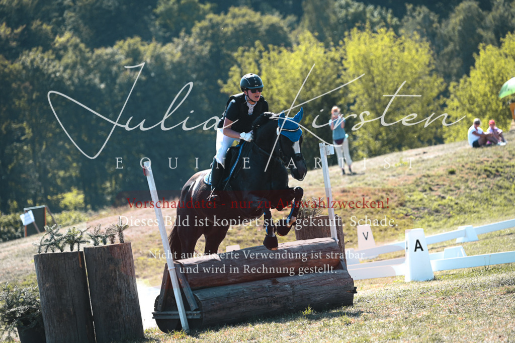 DSC_8111 | Pferde- und Turnierfotografie in Westsachsen. Pferdeportraits, Auftragszeichnungen und intuitive Kunst.