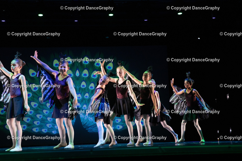 GPHY6164 | DanceGraphy - Realisiert mit Pictrs.com