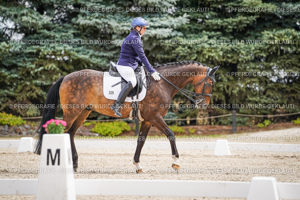 DSC02557 | Pferdegrafie