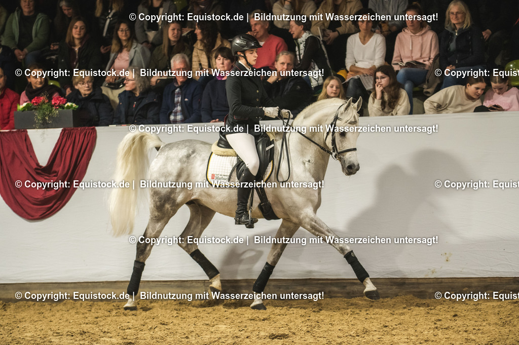 20240302_Hengstvorstellung_Marbach_TOMsPiC_1048-2 | equistock