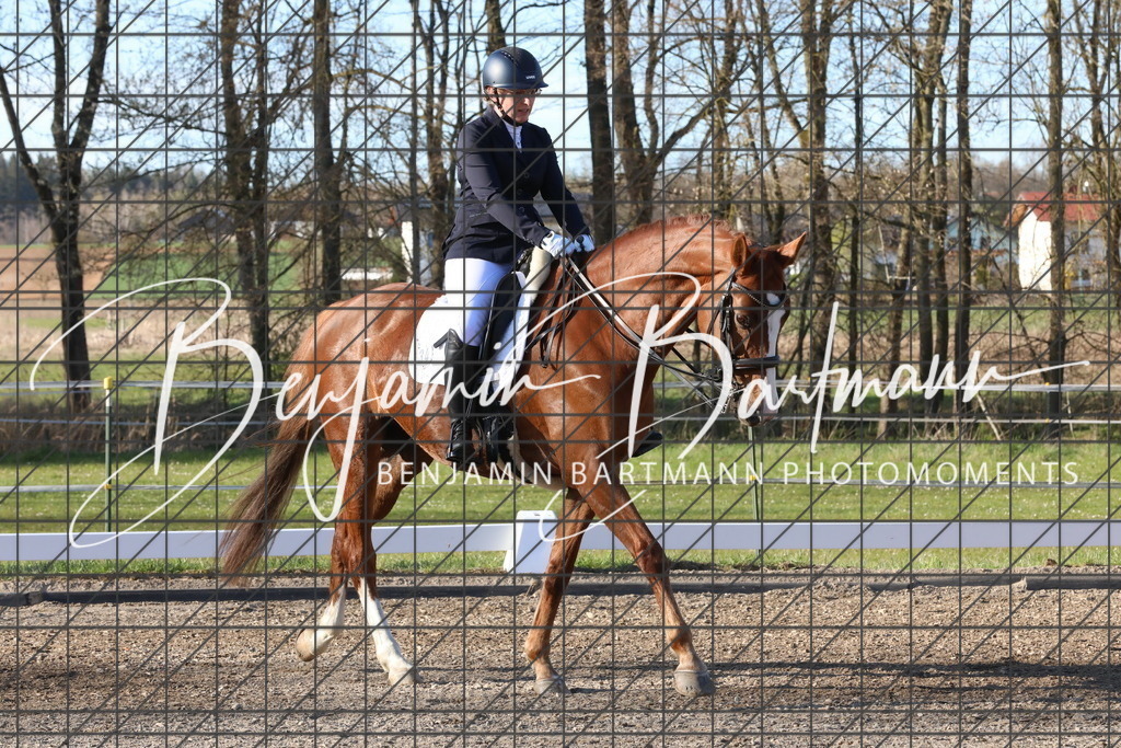 AZ2A5431 | Benjamin Bartmann Photomoments