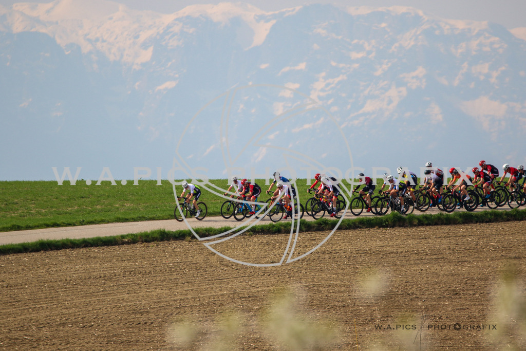 Kirschblütenrennen Wels | WELS, AUSTRIA, 23.04.2023 - ROADCYCLING, OERV RADLIGA, 61. Kirschblütenrennen Wels, Image shows 
Photo: SMP/Andreas Willdoner