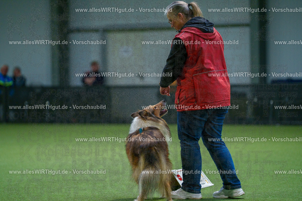 7R500452 | Professionelle Tierfotografie in Mönchengladbach von Daniel Wirth (allesWIRTHgut). Liebevolle & natürliche Bilder von Hunden & Katzen für unvergessliche Erinnerungen.