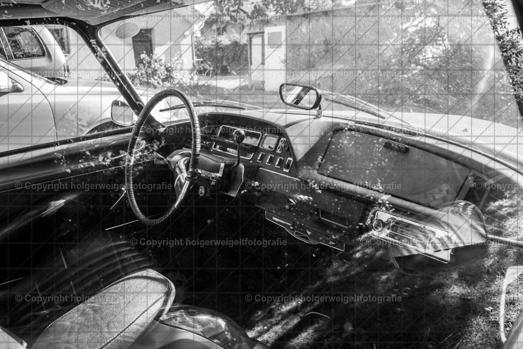 20220807090745D75_7639 | Kaufen sie online außergewöhnliche Fotografien auf Leinwand Acrylglas Fotoprint Aludibond von holgerweigeltfotografie - Realisiert mit Pictrs.com
