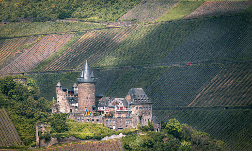 Burg Stahleck über der Stadt Bacharach, am Mittelrhein,Jugendherberge | Das Bild zeigt die historische Burg Stahleck, eine Höhenburg im UNESCO-Welterbe Oberes Mittelrheintal.Lage: Sie thront auf einem Bergsporn über der rheinland-pfälzischen Stadt Bacharach am Rhein im Landkreis Mainz-Bingen.Umgebung: Die Anlage ist ringsum von den charakteristischen, steilen Weinterrassen der Region umgeben.Heutige Nutzung: Nach ihrer Zerstörung im 17. Jahrhundert wurde sie ab 1925 wiederaufgebaut und beherbergt heute eine der bekanntesten und beliebtesten Jugendherbergen Deutschlands. - Realisiert mit Pictrs.com