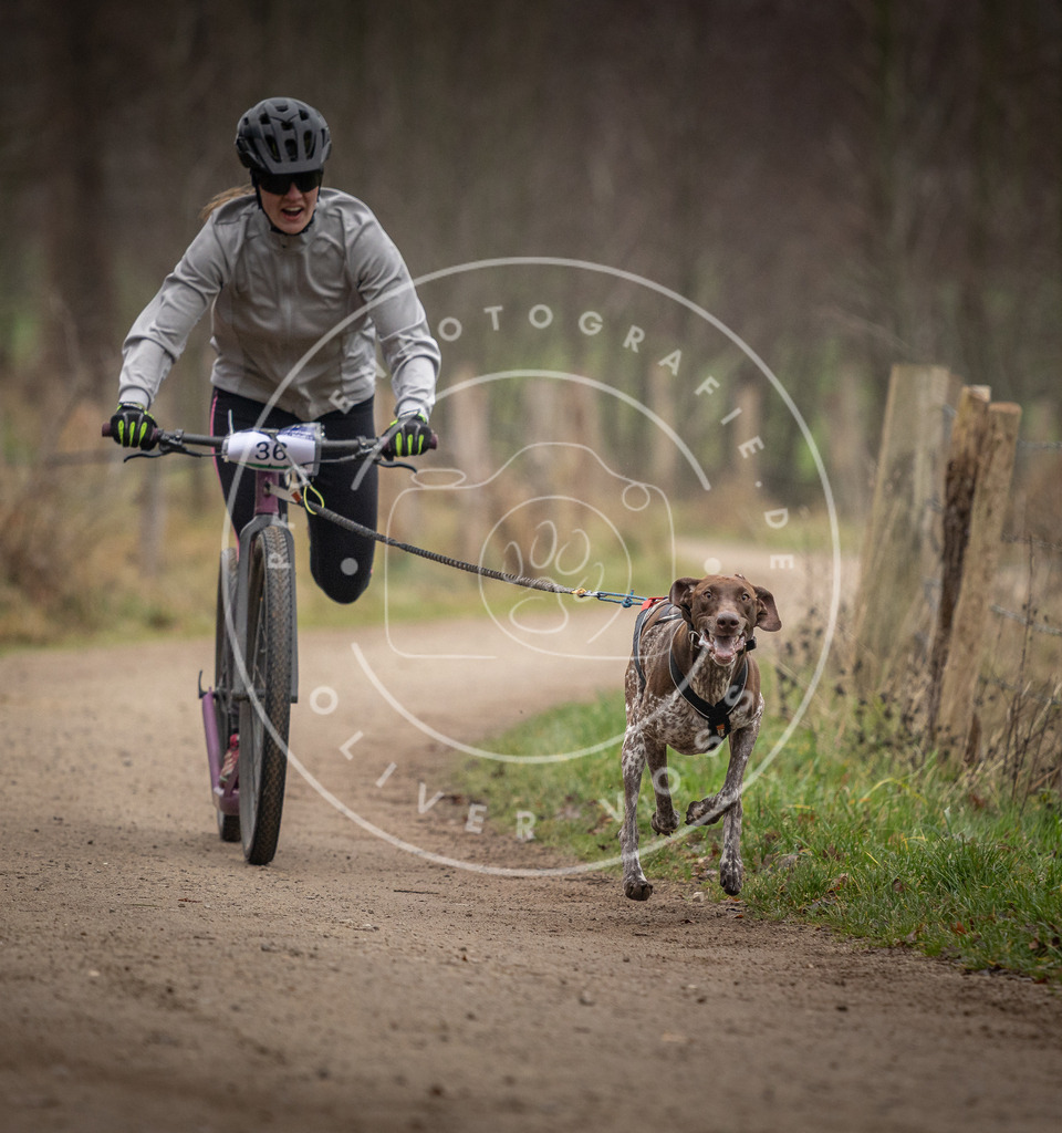 Pfotenfotografie_DV3A2414 | Hundefotografie, Tierfotograf, Pfotenfotografie, Fotoshooting Hund, Hunde Portrait, Hundesport, Hundeportraits, Heideshooting, Hunde, Sportfotograf, Hundefotograf, Turnierhundsport, THS,  - Realisiert mit Pictrs.com