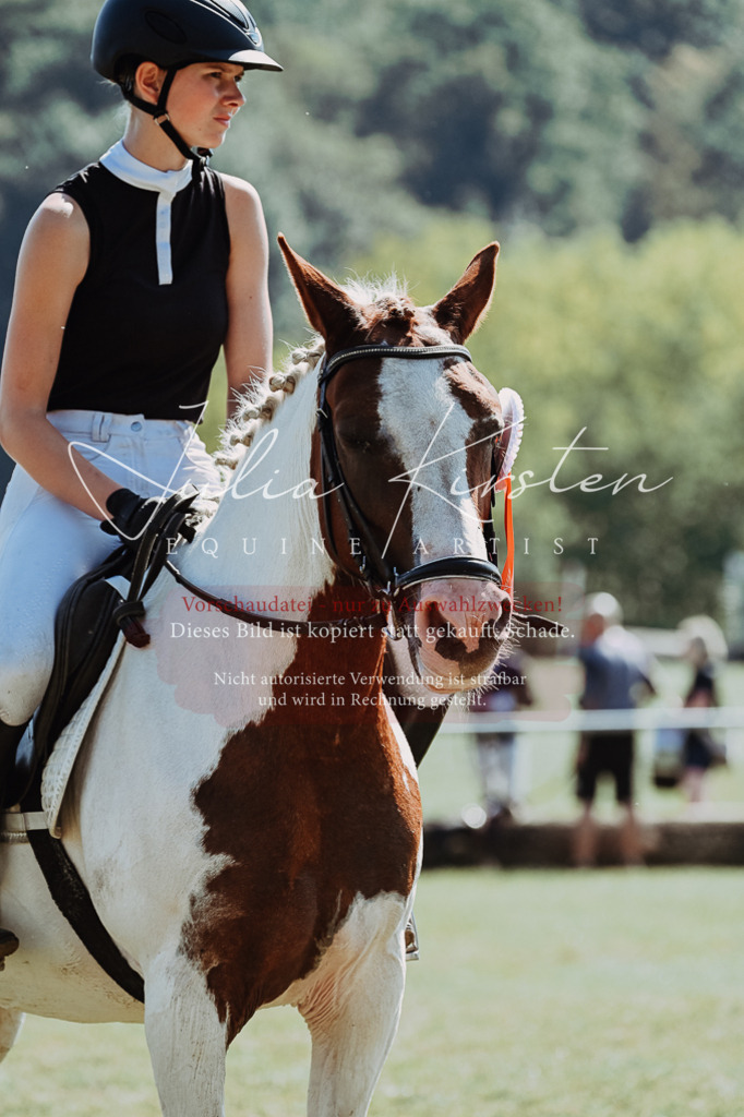 DSC_6260 | Pferde- und Turnierfotografie in Westsachsen. Pferdeportraits, Auftragszeichnungen und intuitive Kunst.