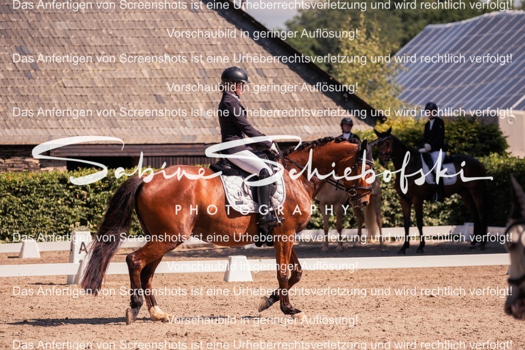 2025_05_31_DSCF3073 | People- und Tierfotografie, Imageaufnahmen, Veranstaltungsfotografie und Wandbilder aus der Natur ★ Made in Germany ✔️ Druck + Downloads ✔️ Naturfotografie in Top Qualität ★ schneller Versand, weltweite Lieferung! - Realisiert mit Pictrs.com