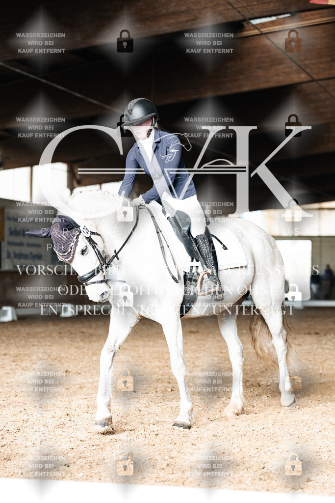 CK902605 | Turnierfotografie Pferdefotografie Trier Rheinland-Pfalz Pferdesport Reitsport Tierfotografie Sportfotografie Pferdevideo Pferdevideografie Equestrianvideography equestrianphotography  - Realisiert mit Pictrs.com