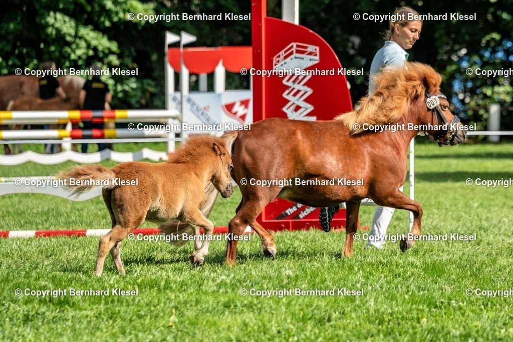 _DSC0898 | foto-team-bernhard - Realisiert mit Pictrs.com
