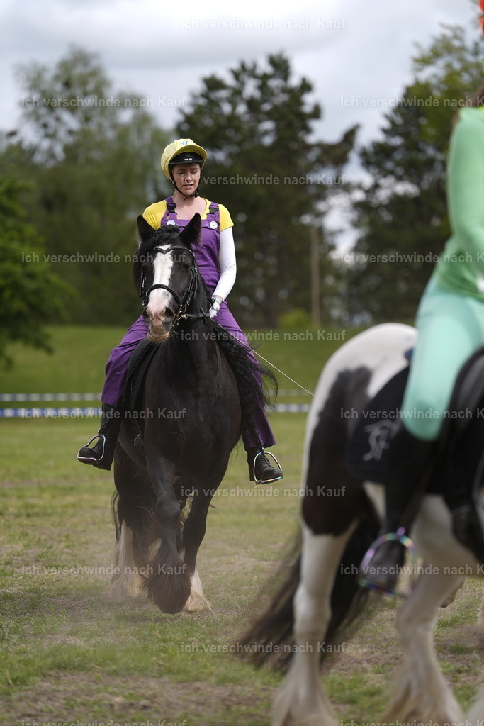 PI26_Show_BTS_StoibphotographyPI26_Show_BTS_Stoibph_DSC0895.JPG.JPG | working equitationturnier fotograf videograf stoibphotography marixx film working equitation deutschland reitsport turnierfotografie eventfotografie equestrian events