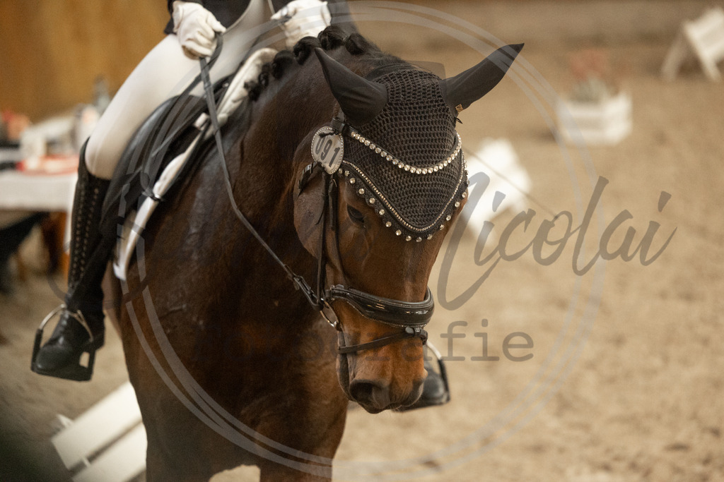994A3960 | sabrinanicolaifotografie - Realisiert mit Pictrs.com