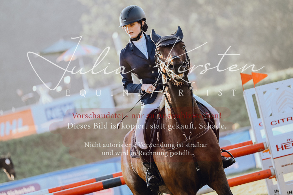 DSC_3956 | Pferde- und Turnierfotografie in Westsachsen. Pferdeportraits, Auftragszeichnungen und intuitive Kunst.