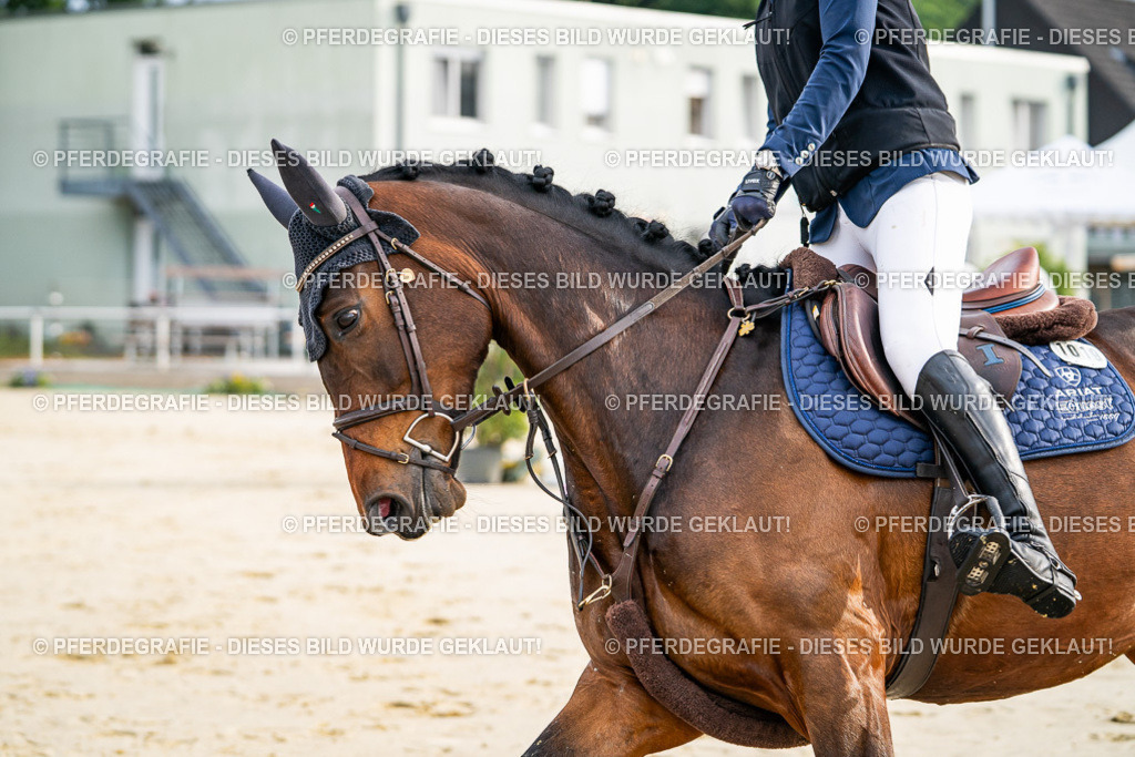 DSC08088 | Pferdegrafie