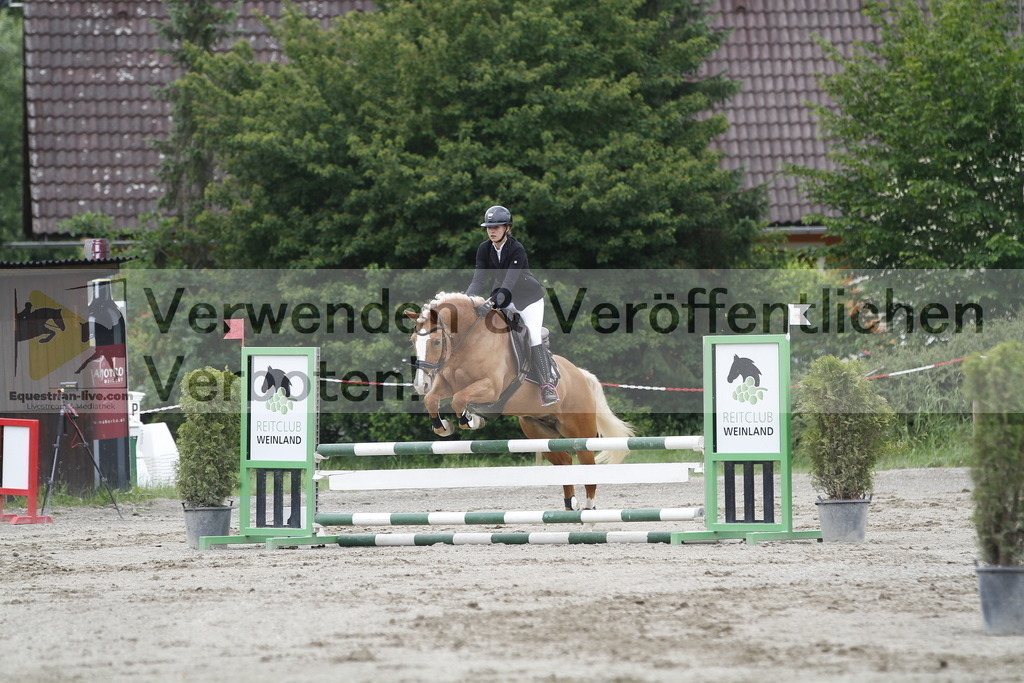 _MG_6524 | equestrian-live-com