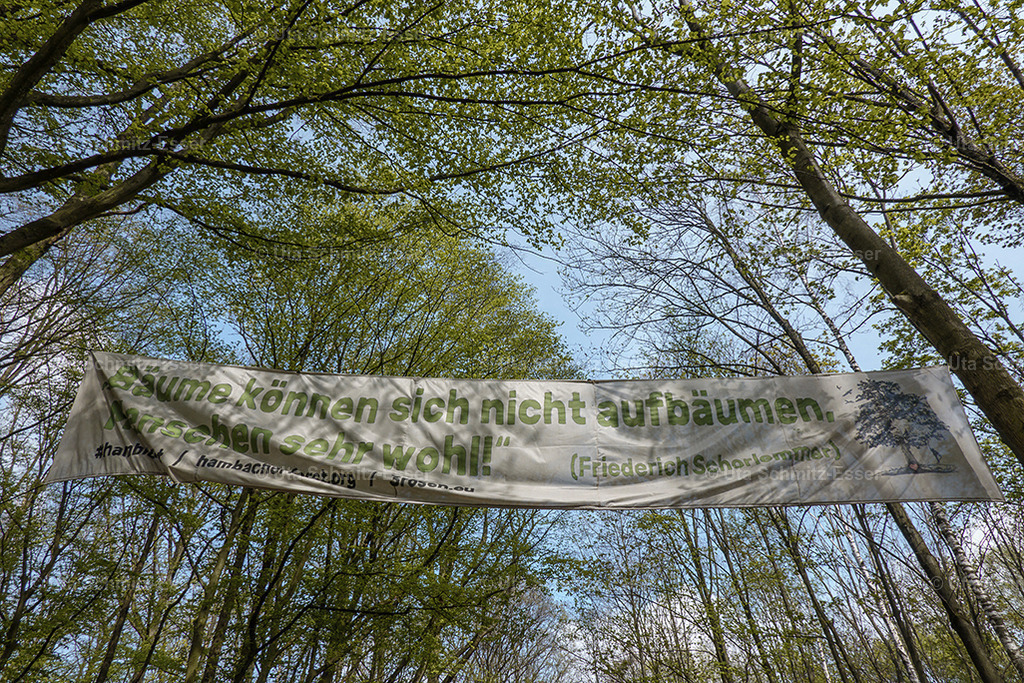 Hambacher-Forst_11 | CEUS Design - Realisiert mit Pictrs.com