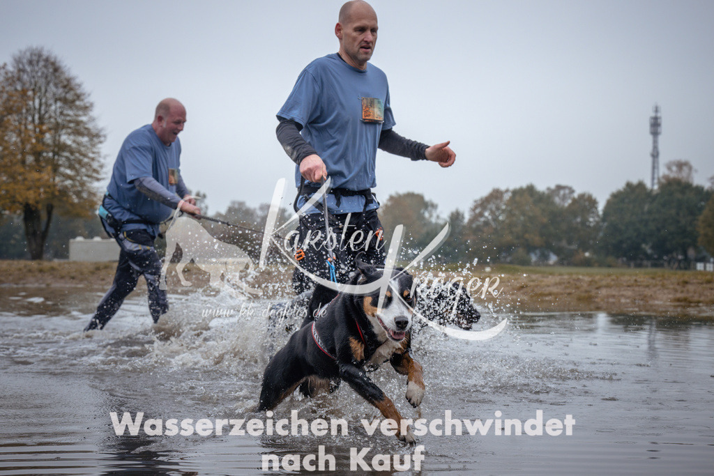 1010_ZZ98487 | kk-dogfotos