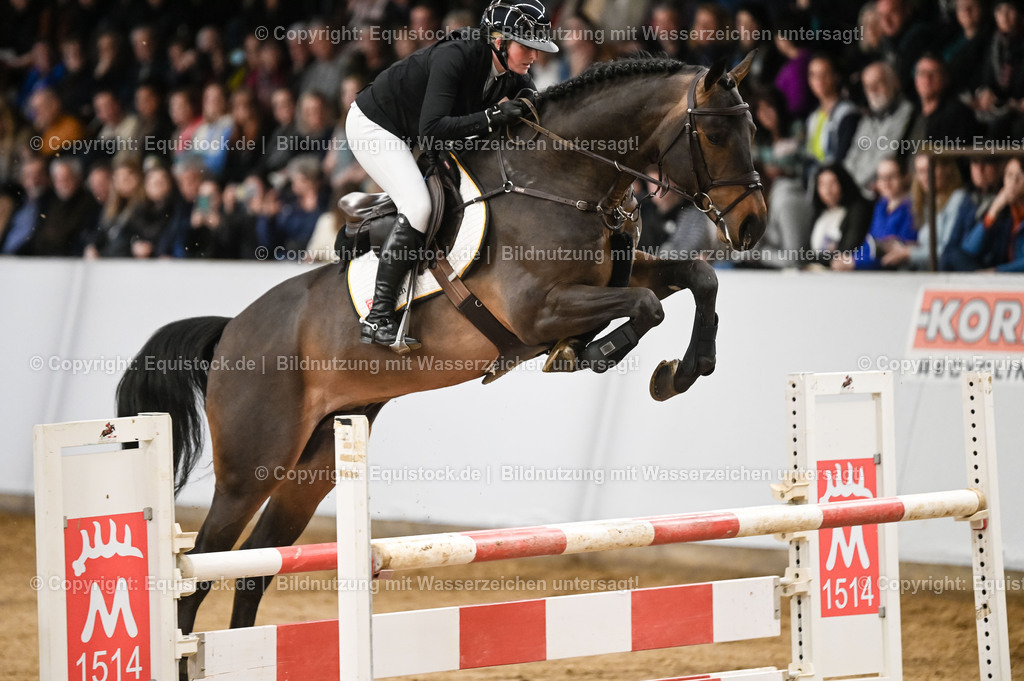 20260307_Hengstvorstellung-Marbach_0132 | equistock