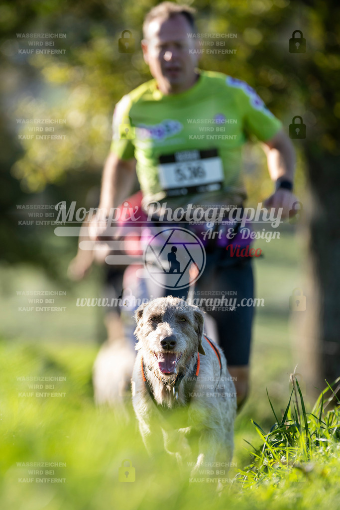 MompixPhotography_20TSB_E3_Run-81 | PayLife