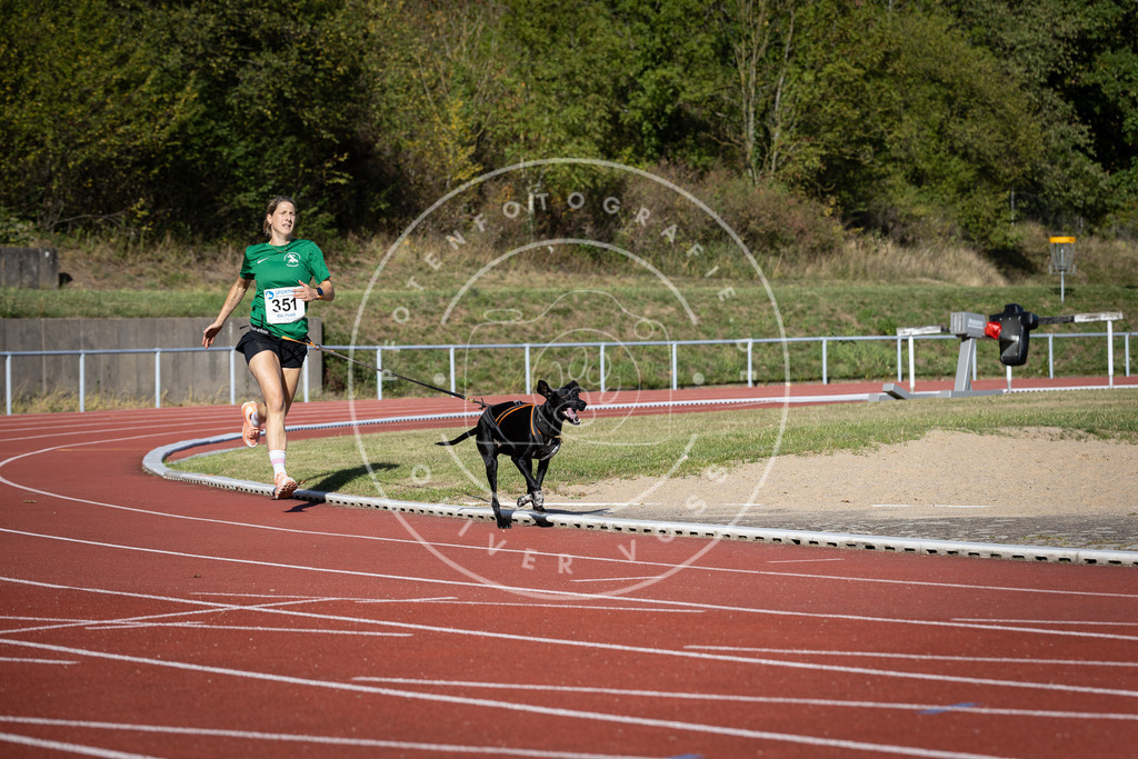 Pfotenfotografie_DV3A9123 | Hundefotografie, Tierfotograf, Pfotenfotografie, Fotoshooting Hund, Hunde Portrait, Hundesport, Hundeportraits, Heideshooting, Hunde, Sportfotograf, Hundefotograf, Turnierhundsport, THS,  - Realisiert mit Pictrs.com