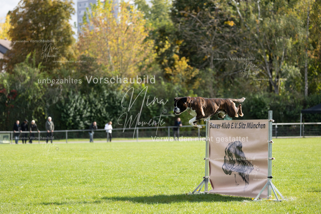 _16A6897 | Einzigartige Fotos von Hunden & Menschen –Actionfotos, Portraits, Vereinsaufnahmen & Paarshootings – authentisch, lebendig & mit Herz.