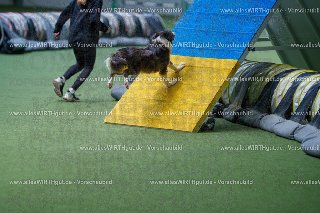 @allesWIRTHgut_Tierfotografie - www.allesWIRTHgut.de - 2604251241-7R502505 | Professionelle Tierfotografie in Mönchengladbach von Daniel Wirth (allesWIRTHgut). Liebevolle & natürliche Bilder von Hunden & Katzen für unvergessliche Erinnerungen.