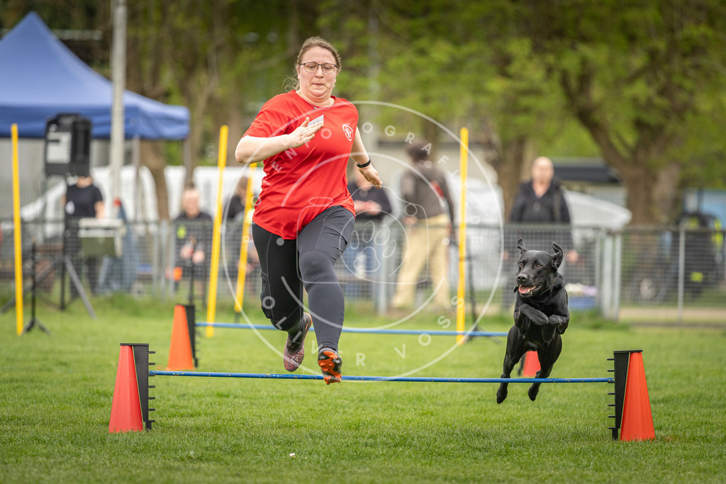 Pfotenfotografie_DV3A0952 | Hundefotografie, Tierfotograf, Pfotenfotografie, Fotoshooting Hund, Hunde Portrait, Hundesport, Hundeportraits, Heideshooting, Hunde, Sportfotograf, Hundefotograf, Turnierhundsport, THS,  - Realisiert mit Pictrs.com