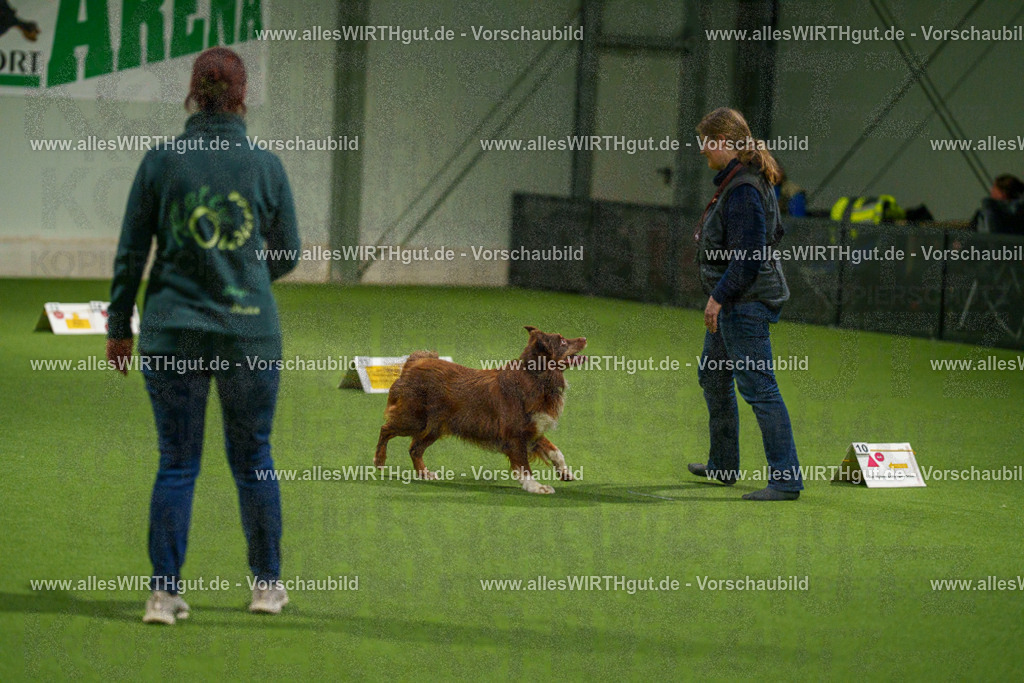 7R508918 | Professionelle Tierfotografie in Mönchengladbach von Daniel Wirth (allesWIRTHgut). Liebevolle & natürliche Bilder von Hunden & Katzen für unvergessliche Erinnerungen.