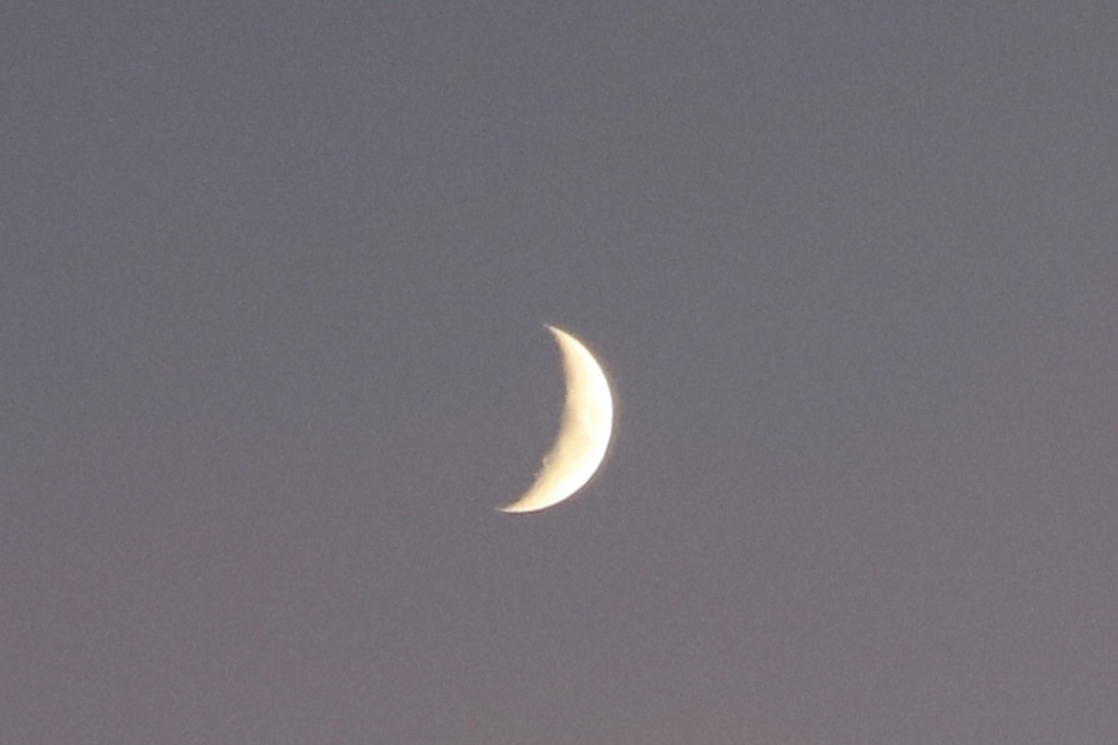20231217041556_IMG_6859 | Frau-CB - Realisiert mit Pictrs.com