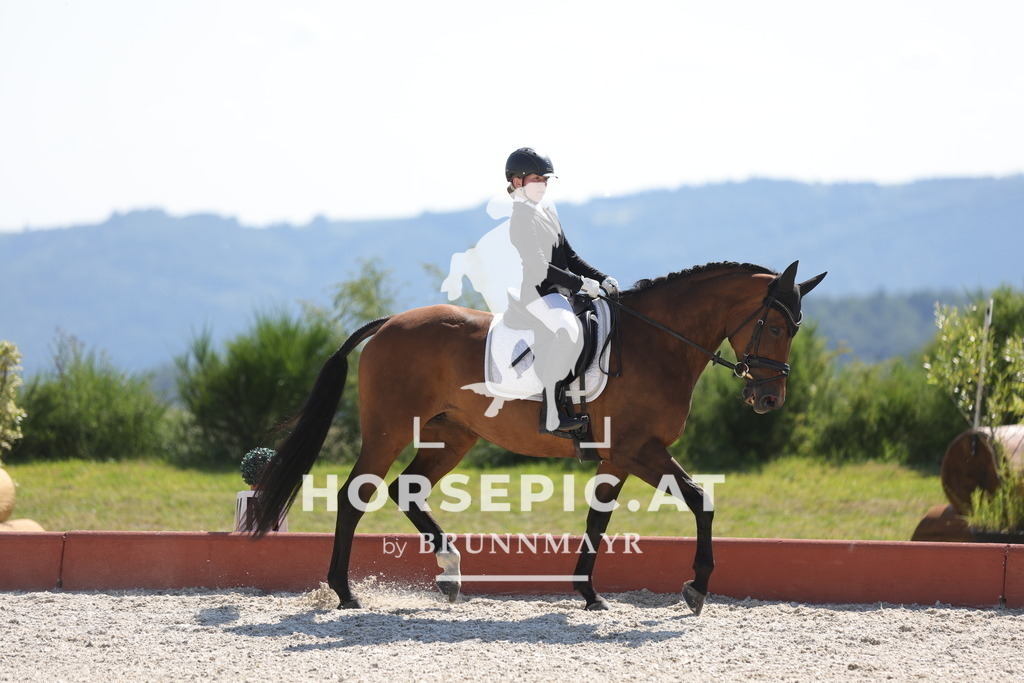 0P6A7680 | Willkommen bei Brunnmayr - Design & Fotografie – Ihrem Spezialisten für Reitturniere und Pferdeveranstaltungen in Oberösterreich, Salzburg und Bayern! Seit über 17 Jahren sind wir leidenschaftlich dabei.