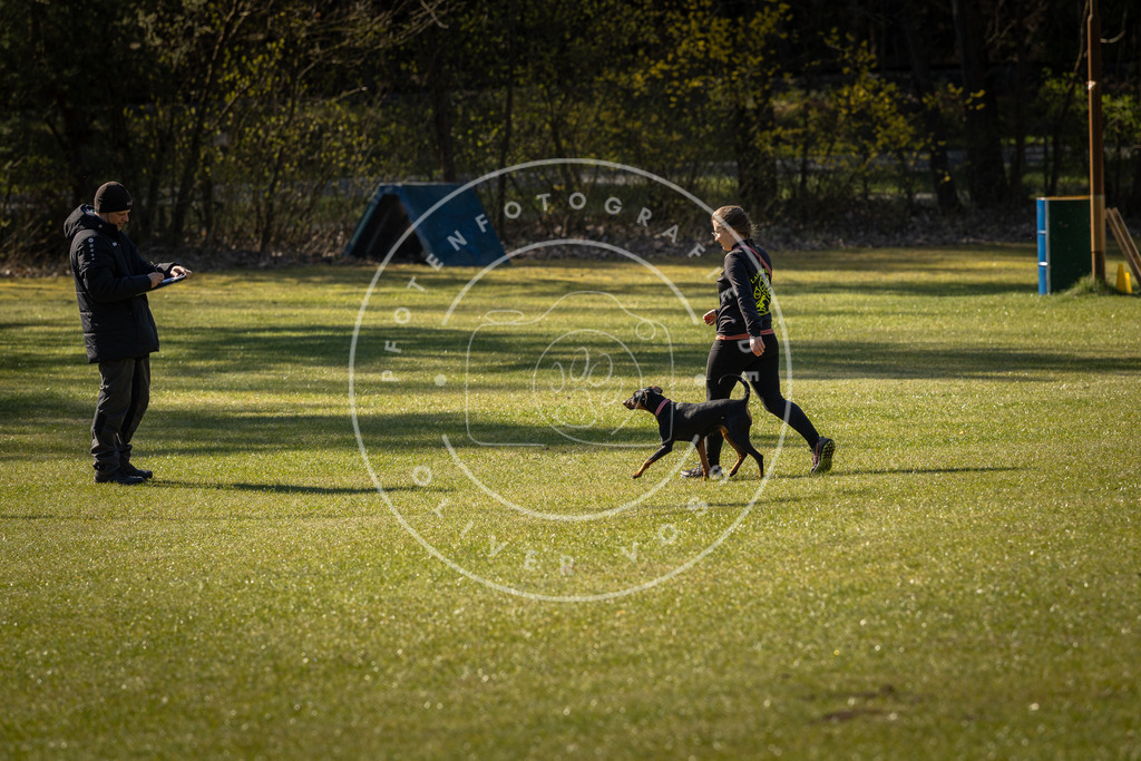Pfotenfotografie_DV3A0305 | Hundefotografie, Tierfotograf, Pfotenfotografie, Fotoshooting Hund, Hunde Portrait, Hundesport, Hundeportraits, Heideshooting, Hunde, Sportfotograf, Hundefotograf, Turnierhundsport, THS,  - Realisiert mit Pictrs.com