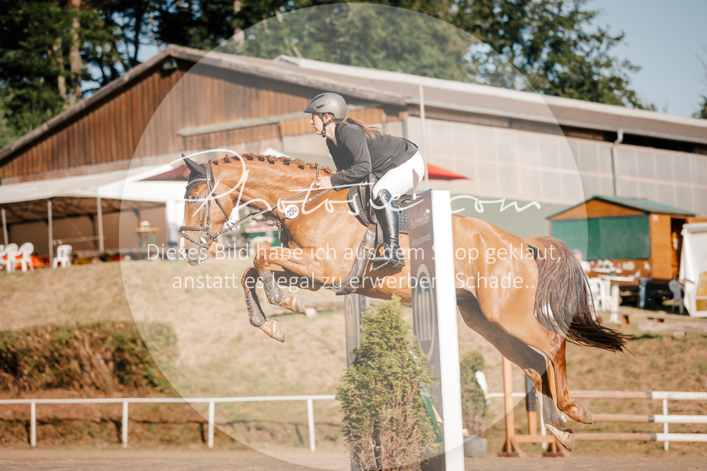 3I6A6171 | Stimmungsvolle Portraits und Reitsportfotografie im Ruhrgebiet und im Münsterland.

Pferdefotografie, Hundefotografie, Tierfotografie, Reportagen, Portraits von Tier und Mensch, Turnierfotografie in Bochum, Recklinghausen, Marl, Haltern am See, Dülmen.. - Realisiert mit Pictrs.com