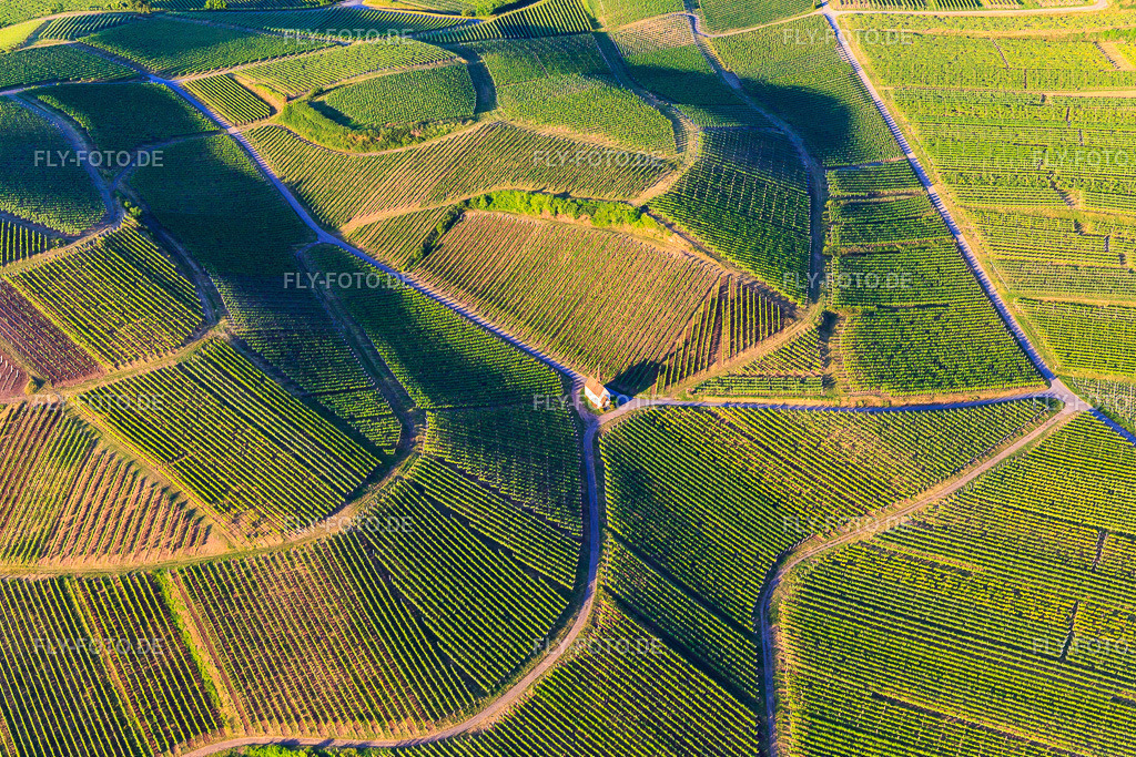 Eichert Kapelle inmitten der Weinberge | Luftbild: Eichert Kapelle inmitten der Weinberge im Ortsteil Jechtingen in Sasbach im Bundesland Baden-Württemberg in Deutschland. Foto: IMG_147912.jpg vom 30.05.2025 durch Werner Riehm/FLY-FOTO.de - Realisiert mit Pictrs.com