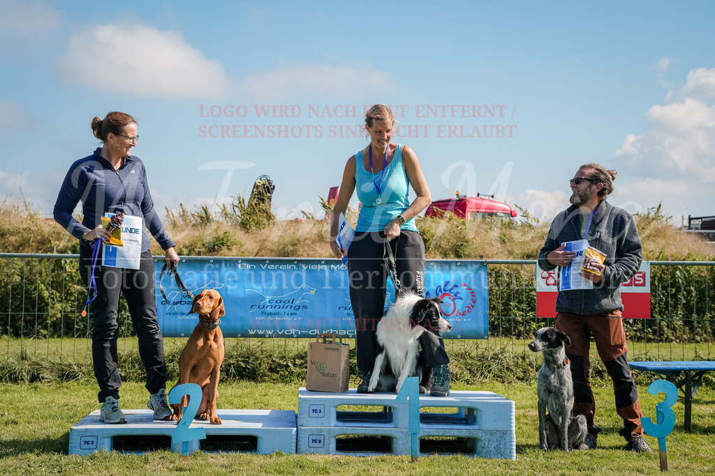 20250928_Hunderennen-768 | MuT (Mensch und Tier) mit Mona - Fotografie und Tierkommunikation - Realisiert mit Pictrs.com