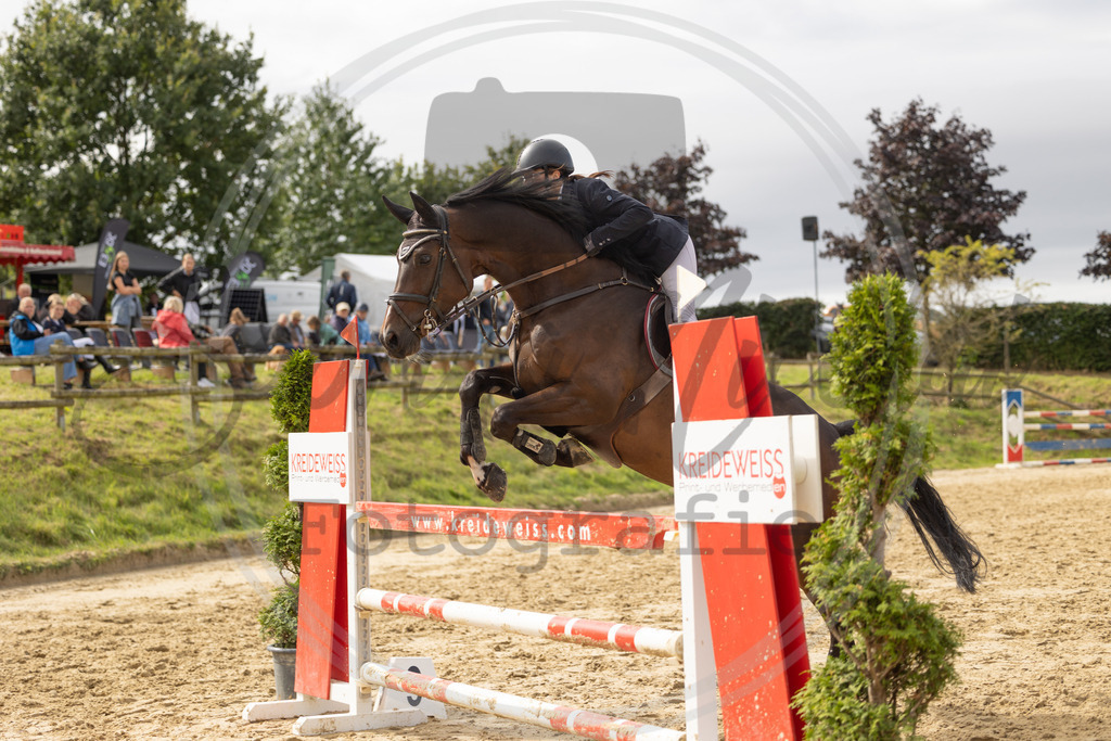 994A9077 | sabrinanicolaifotografie - Realisiert mit Pictrs.com