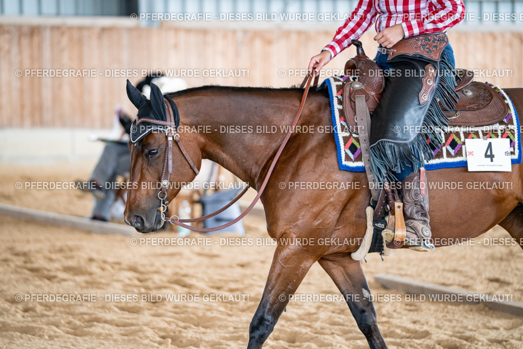 DSC08774 | Pferdegrafie